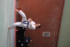 IMG 9811