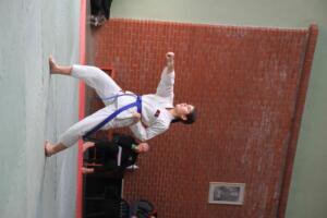 IMG 9817