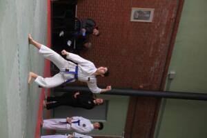 IMG 9819