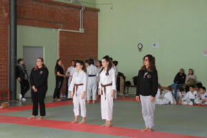 IMG 9861