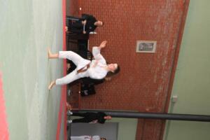 IMG 9865