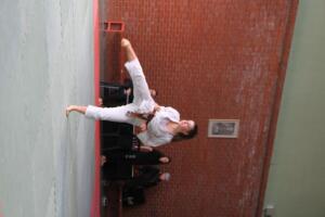 IMG 9867