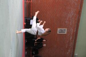 IMG 9884