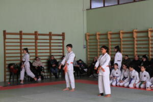 IMG 9913