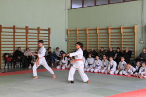 IMG 9914