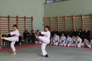 IMG 9916