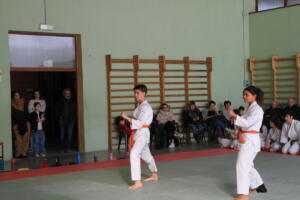IMG 9917