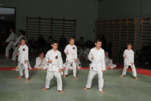 IMG 9923