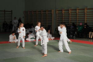 IMG 9929