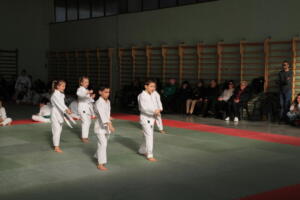 IMG 9930