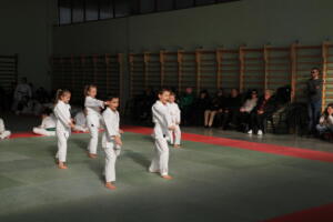 IMG 9931