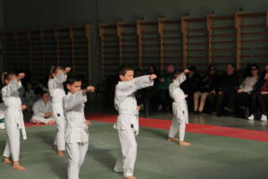 IMG 9933