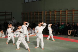 IMG 9934