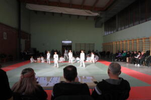 IMG 9941