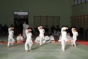 IMG 9944