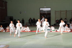 IMG 9952