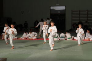 IMG 9953