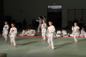 IMG 9954