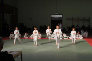 IMG 9956