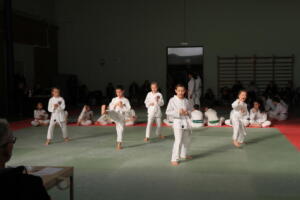 IMG 9957