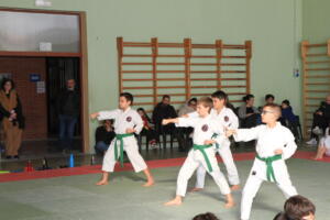 IMG 9961