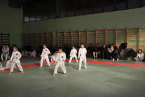IMG 9962