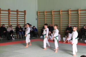 IMG 9964