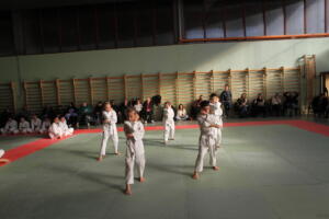 IMG 9966
