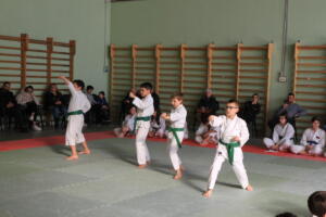 IMG 9969