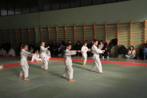 IMG 9971