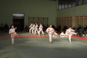IMG 0001