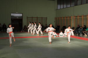 IMG 0002