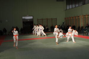 IMG 0003