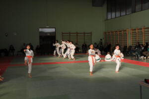 IMG 0004