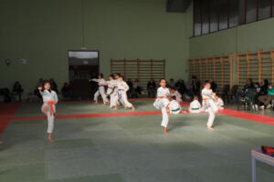 IMG 0005