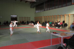 IMG 0006