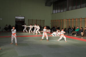 IMG 0007