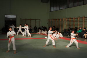 IMG 0009