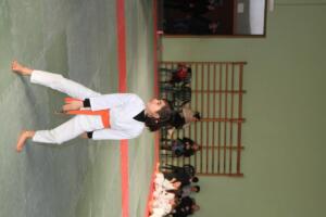IMG 0012