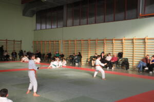 IMG 0014