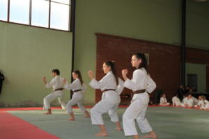 IMG 0017