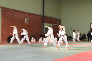 IMG 0019