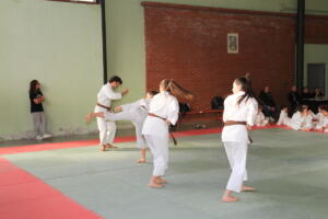 IMG 0027