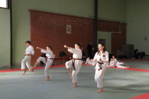 IMG 0030