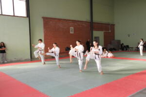 IMG 0031