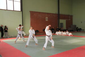 IMG 0037