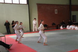 IMG 0043