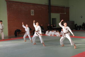 IMG 0044