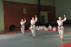 IMG 0045