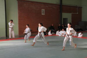 IMG 0046